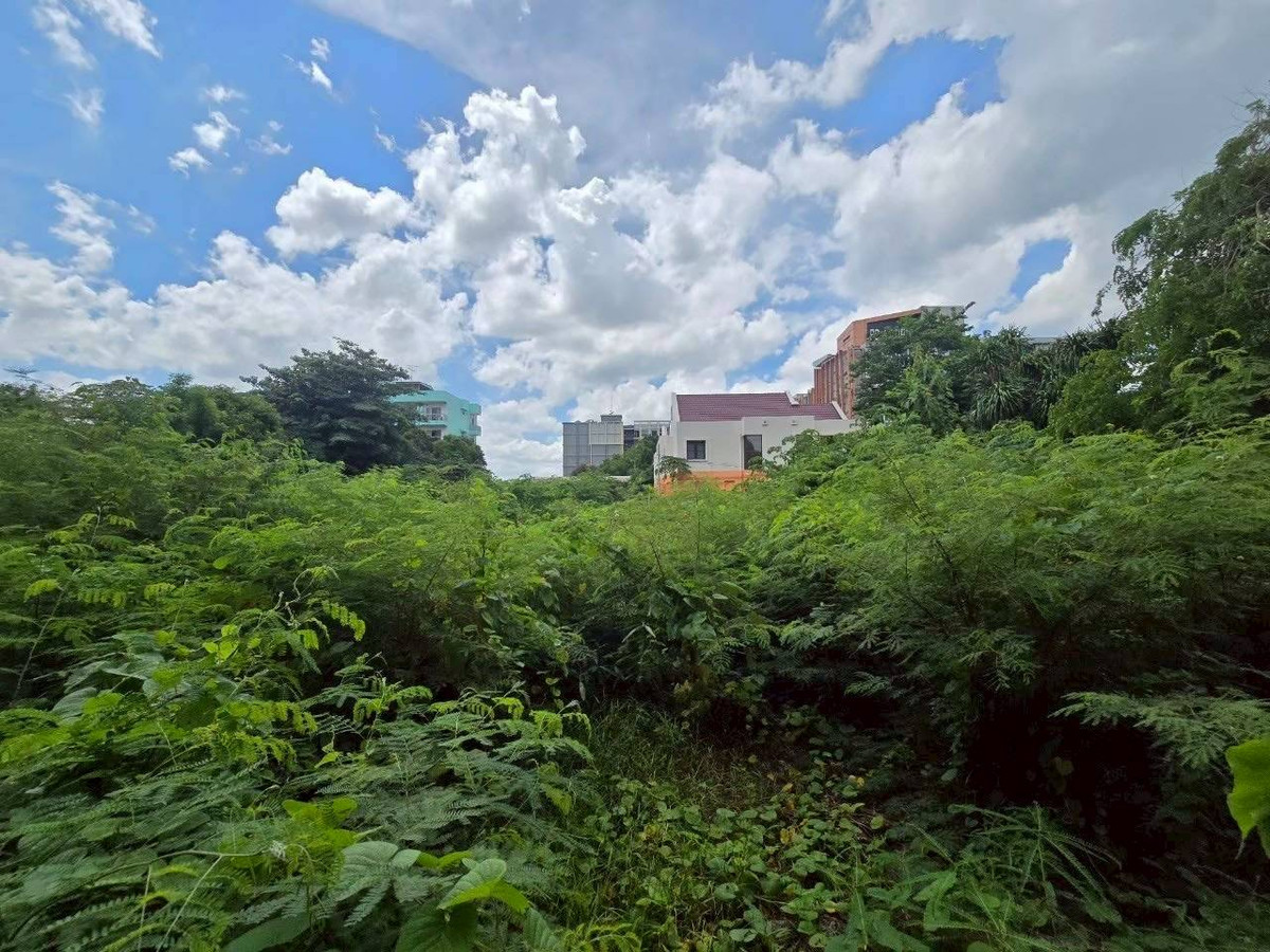 S-LNLP102 ขาย ที่ดิน ลาดพร้าว 130 520ตรว. 1ไร่ 1งาน 20ตรว. 88.4ล้าน 064-959-8900