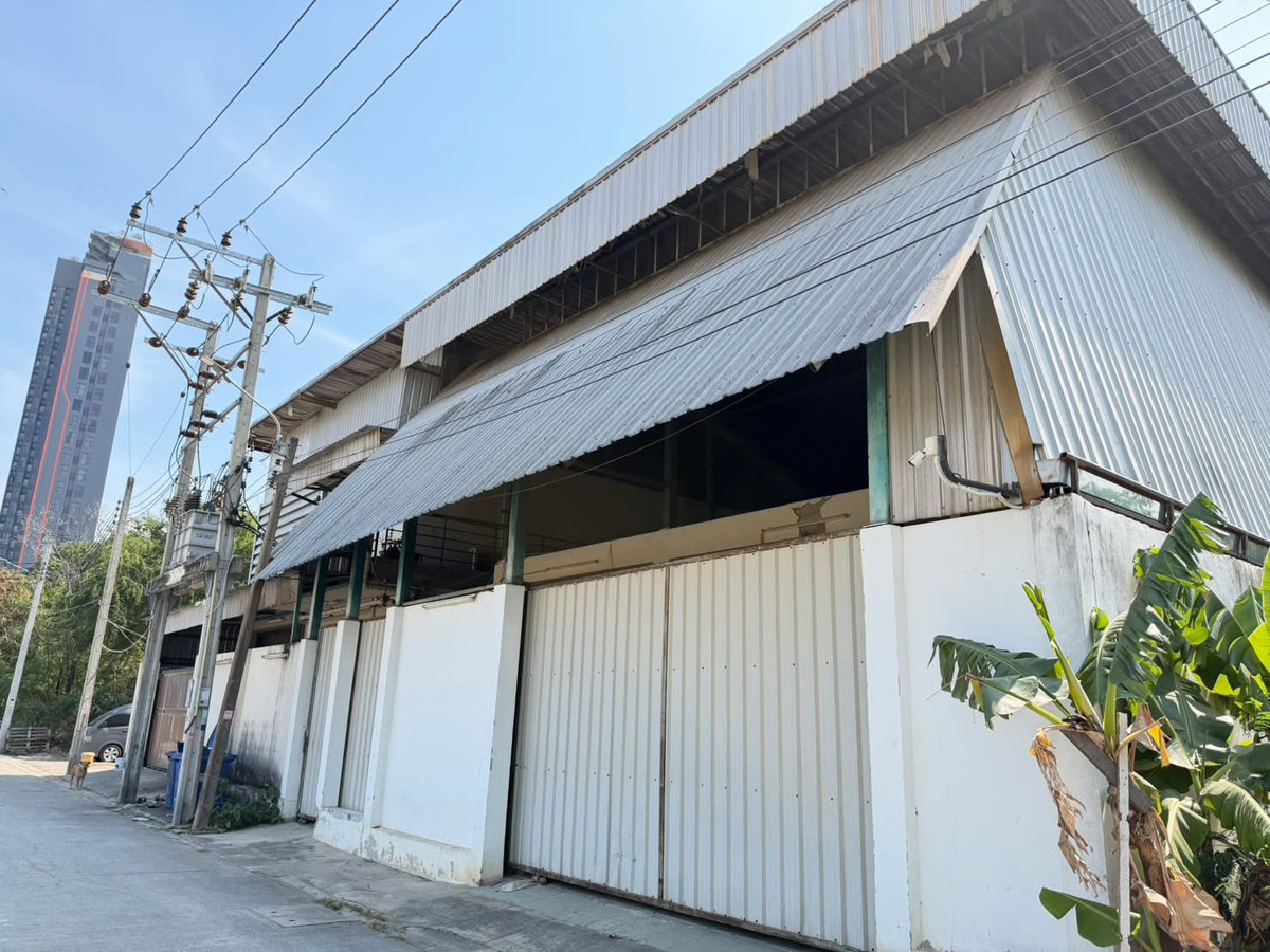 S-LPSSP101 ขาย ที่ดินพร้อมสิ่งปลูกสร้าง (โกดังพร้อมออฟฟิศ) ซอย ศรีด่าน 3/1 แยก 3  จำนวน 2 แปลงติดกัน เนื้อที่รวม 202ตารางวา  16 ล้าน 064-959-8900