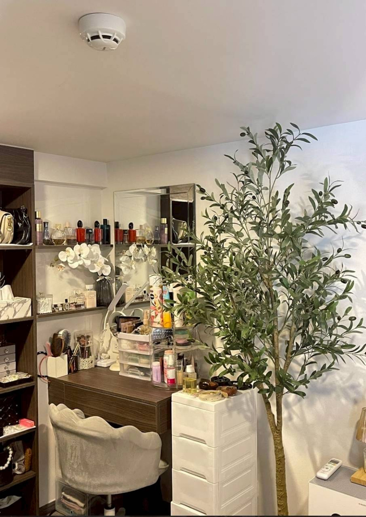 ✅ OLK132 ✅ Line : @p2nproperty