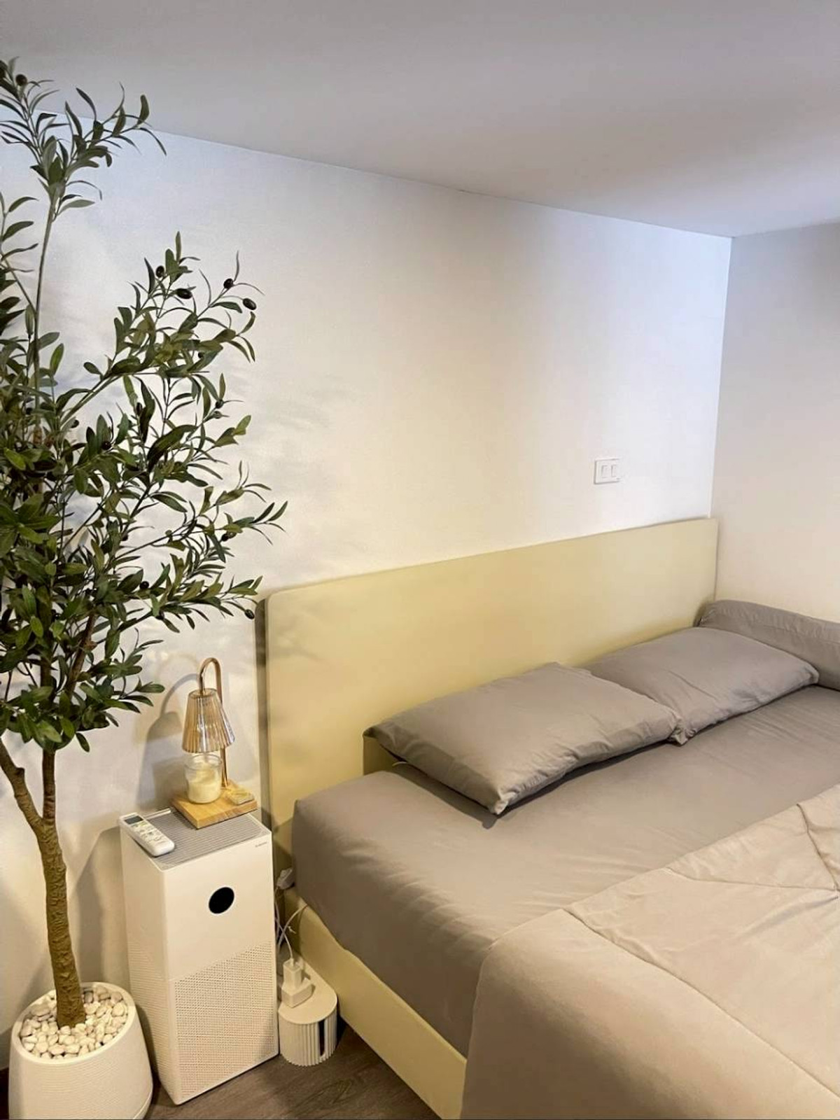 ✅ OLK132 ✅ Line : @p2nproperty