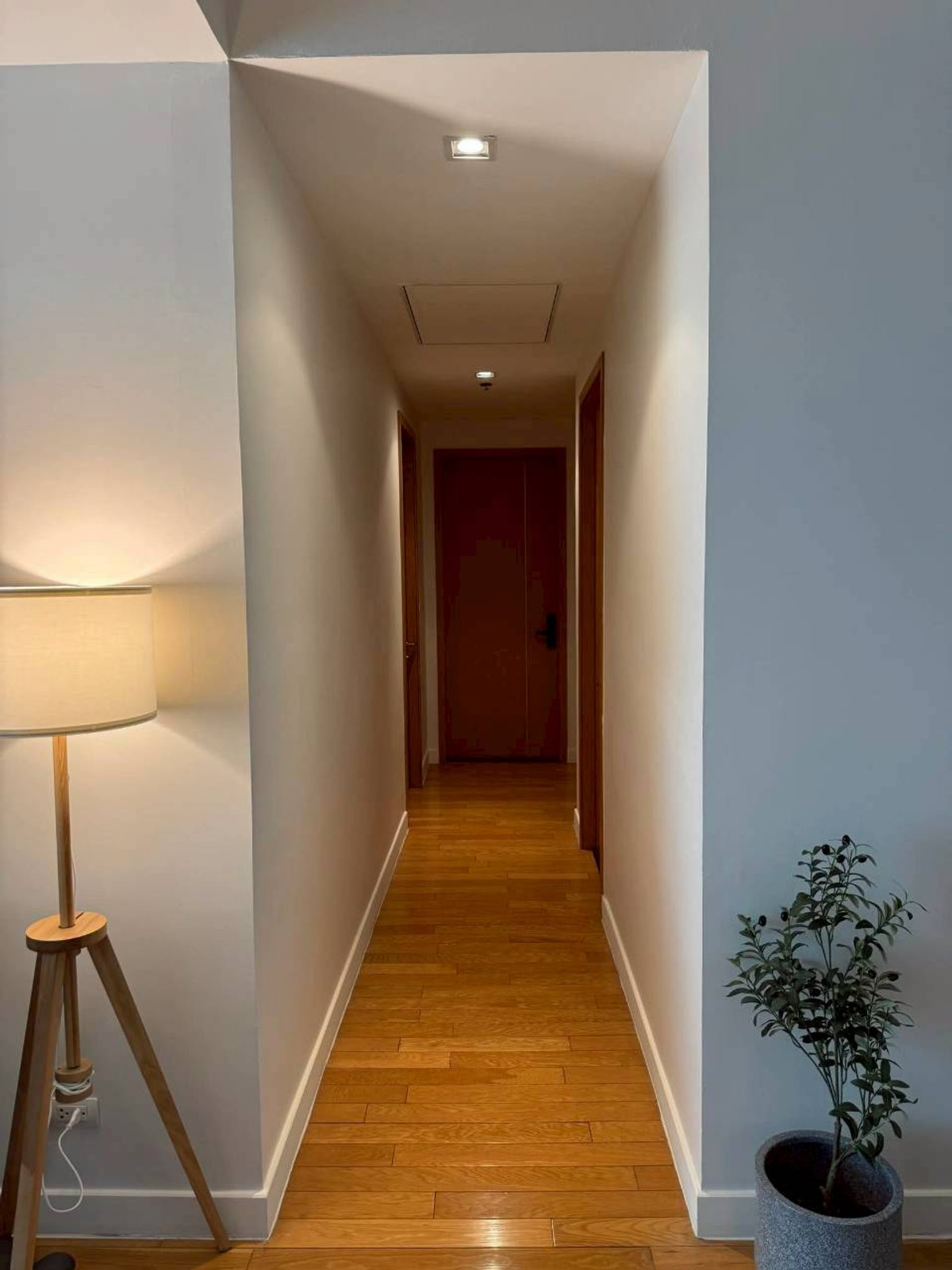 ✅ MILL102 ✅ Line : @p2nproperty