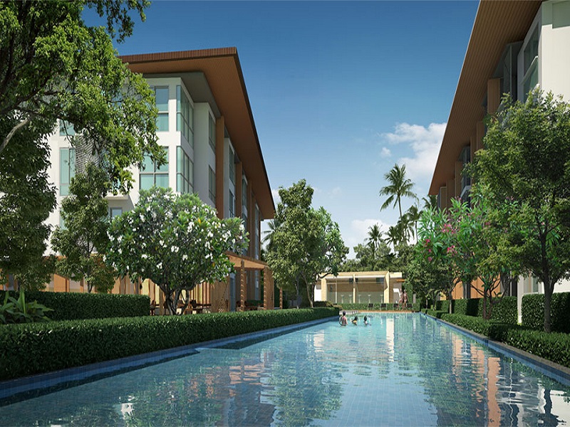 Pacatas-Condo-Samui